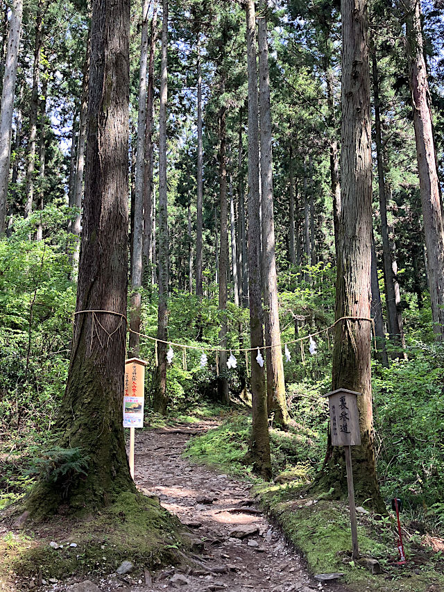 裏参道