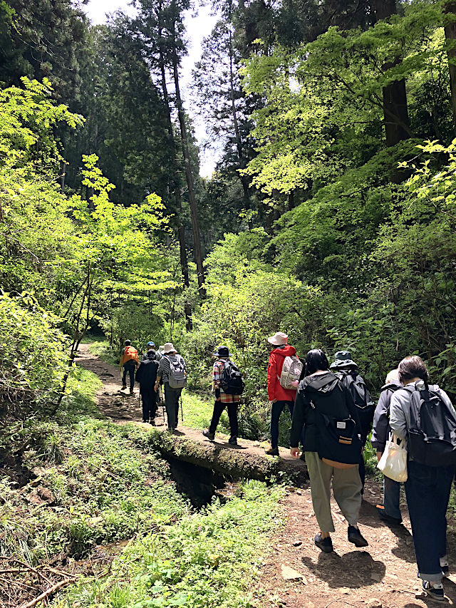 かびれ神宮への表参道