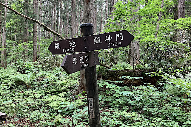 奥社Walk