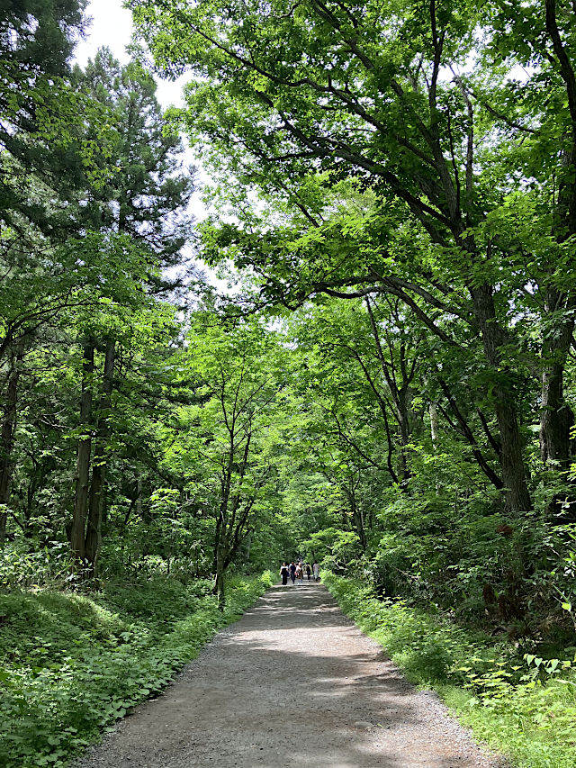 戸隠神社・奥社