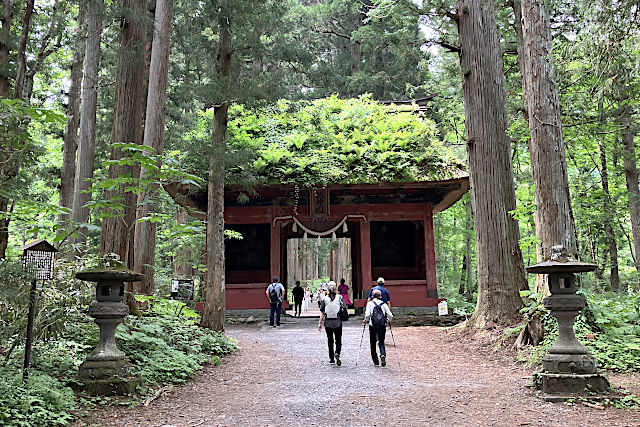 戸隠神社・奥社