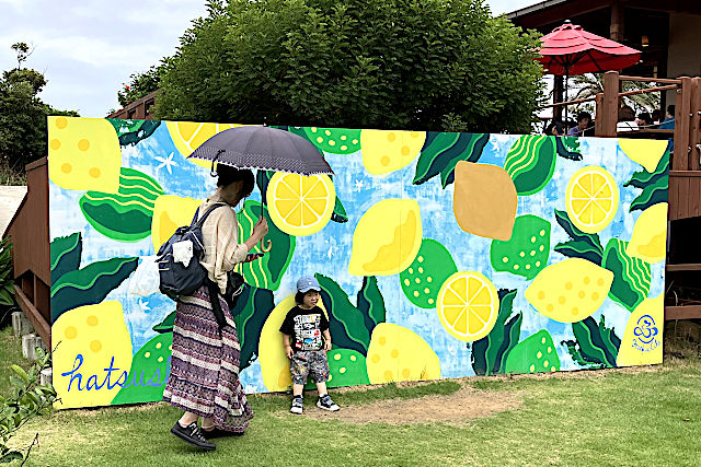 大きなレモンや海中をイメージした看板