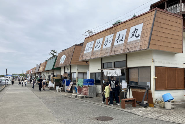 初島の食事処