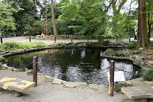 龍神池
