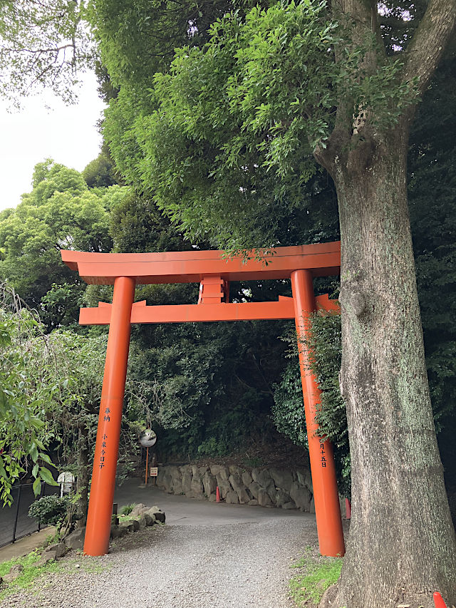 小泉今日子さんの奉納した鳥居