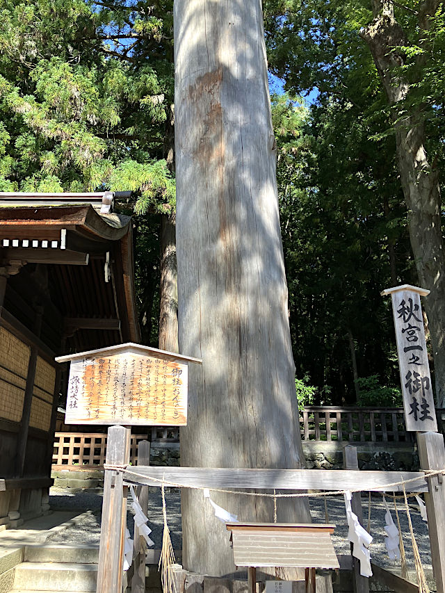 下社・秋宮 一之御柱