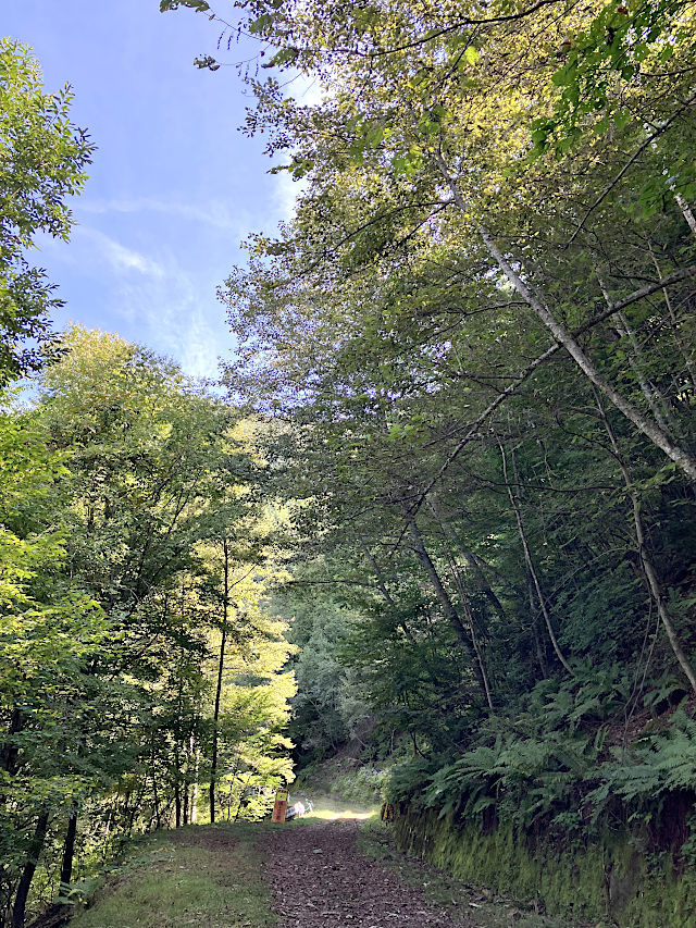 分杭峠