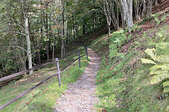 分杭峠・氣場へ