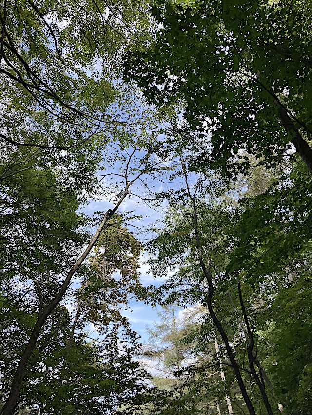 分杭峠・氣場