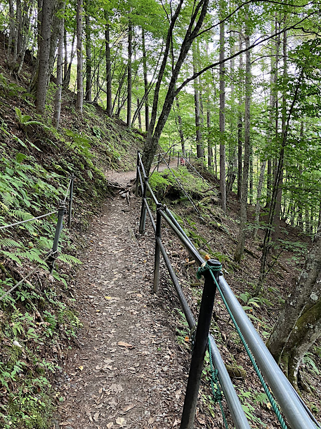 分杭峠・氣場