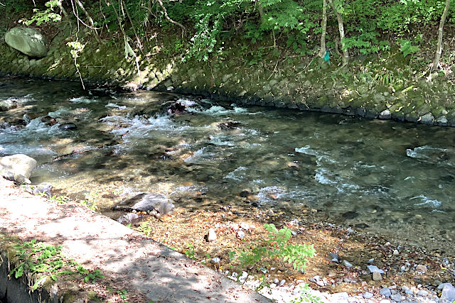 砥川の清流