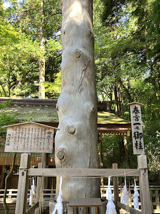 一之御柱