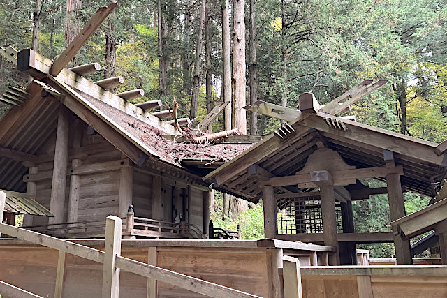 仁科神明宮・本殿と中門