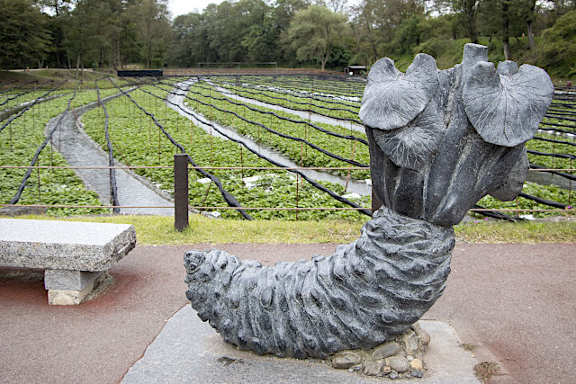 わさびオブジェ