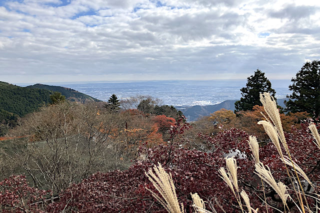 大山阿夫利神社からの眺望