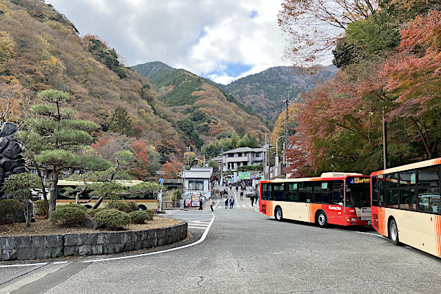 大山ケーブルバス停