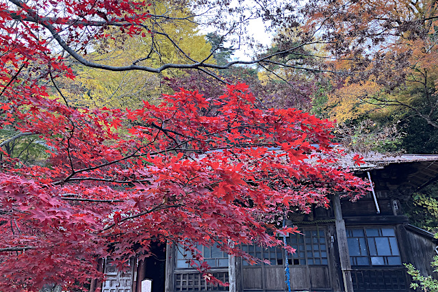 大山寺の紅葉