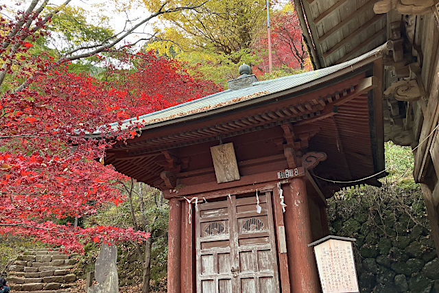 大山寺の紅葉
