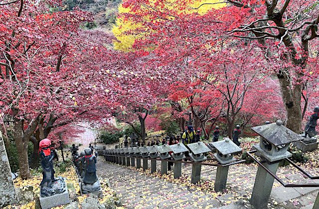雨降山大山寺