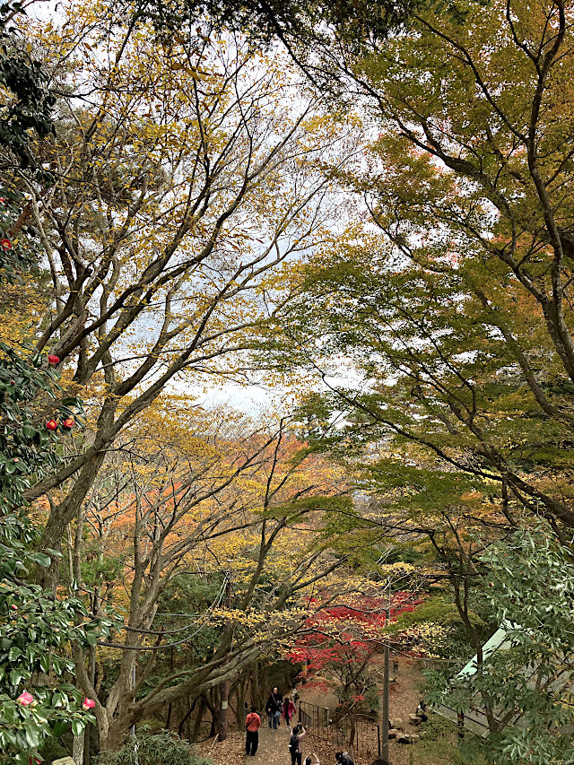 大山阿夫利神社