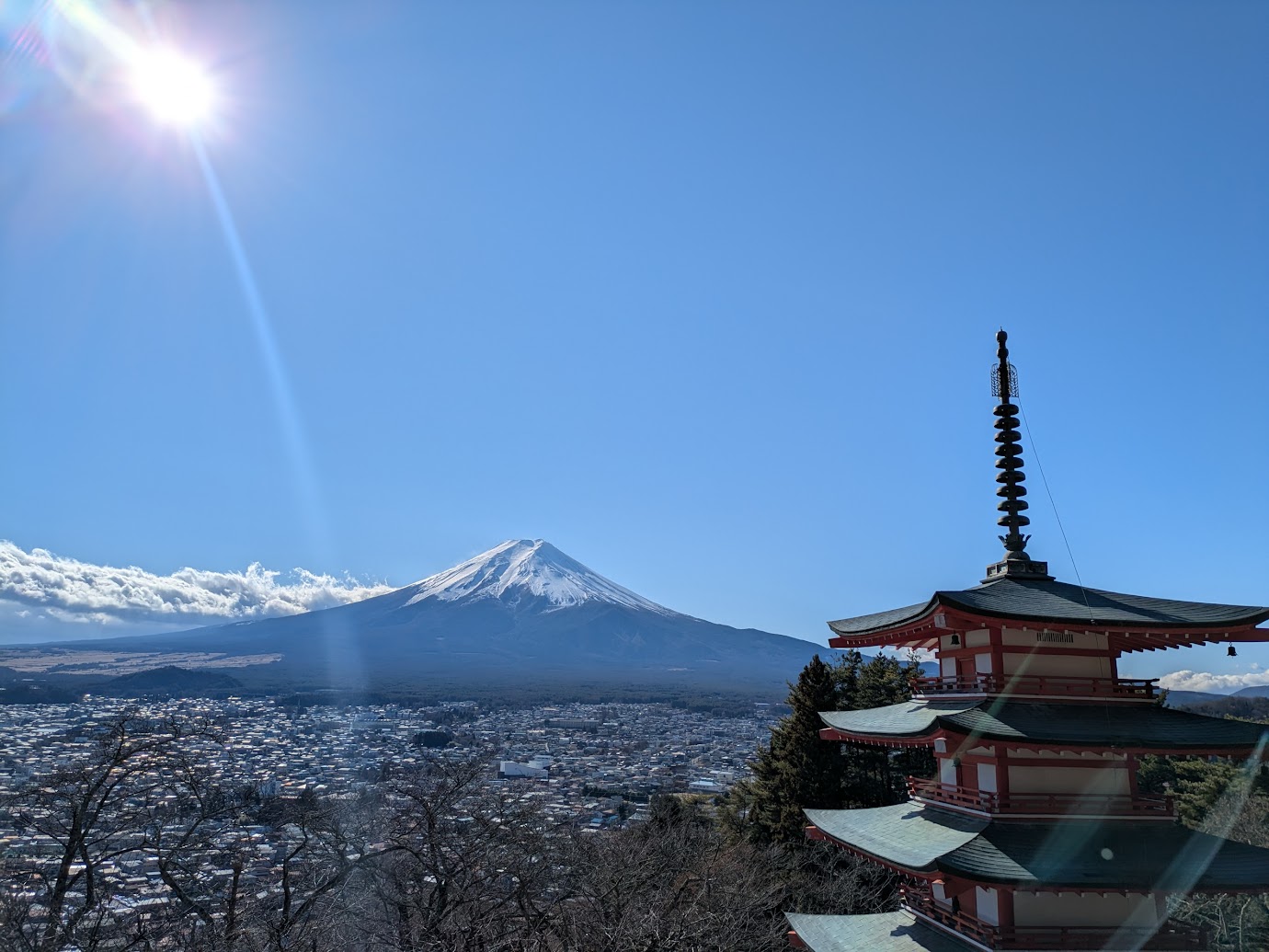 「初冨士に金運！縁起がいいツアーです。」レポート