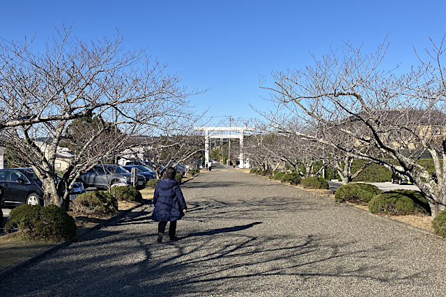 安房神社・参道