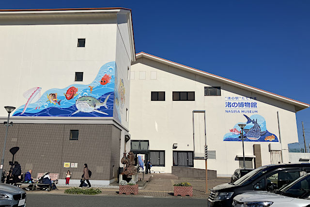 さかなクンの世界『渚の博物館』