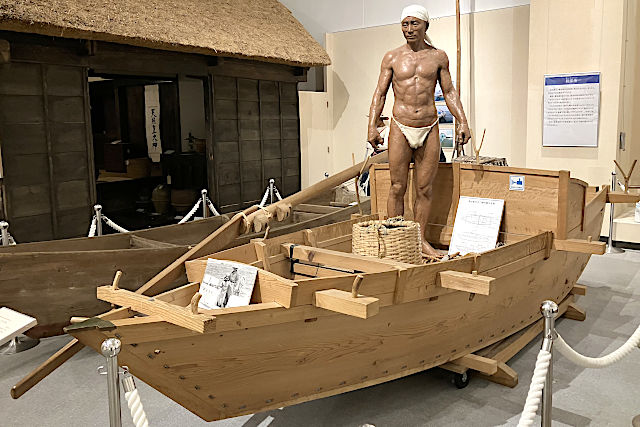 さかなクンの世界『渚の博物館』