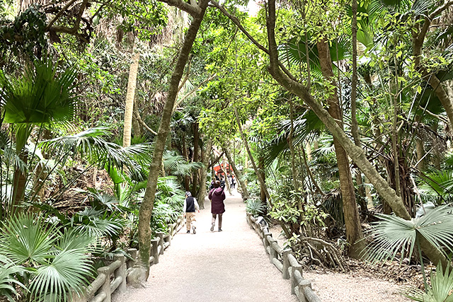 青島神社・元宮