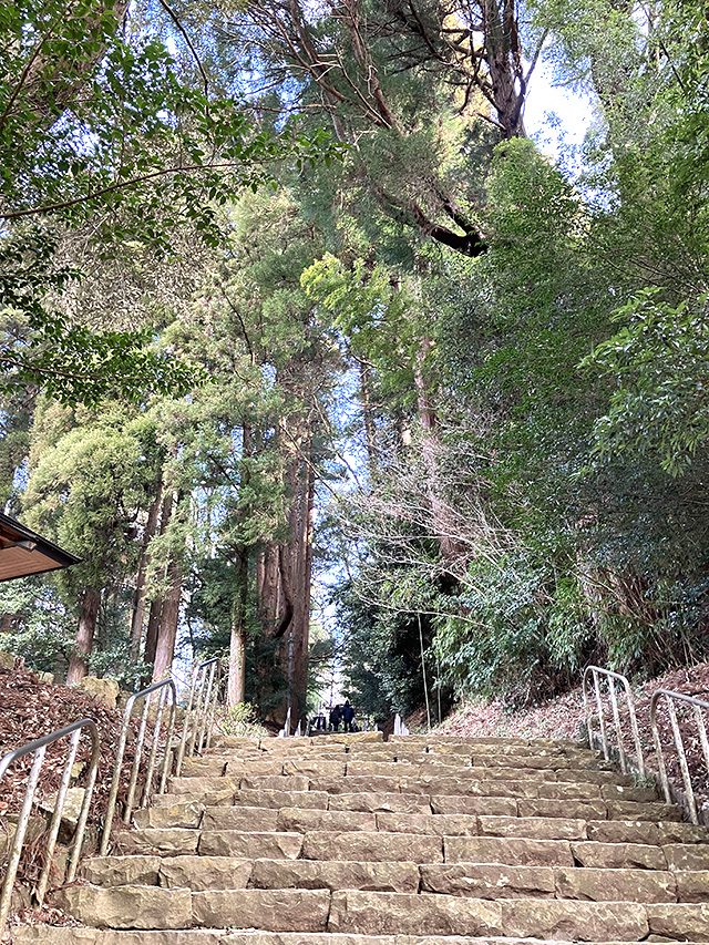 天岩戸神社 東本宮