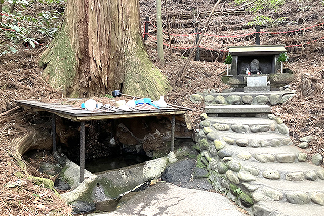天岩戸神社 東本宮