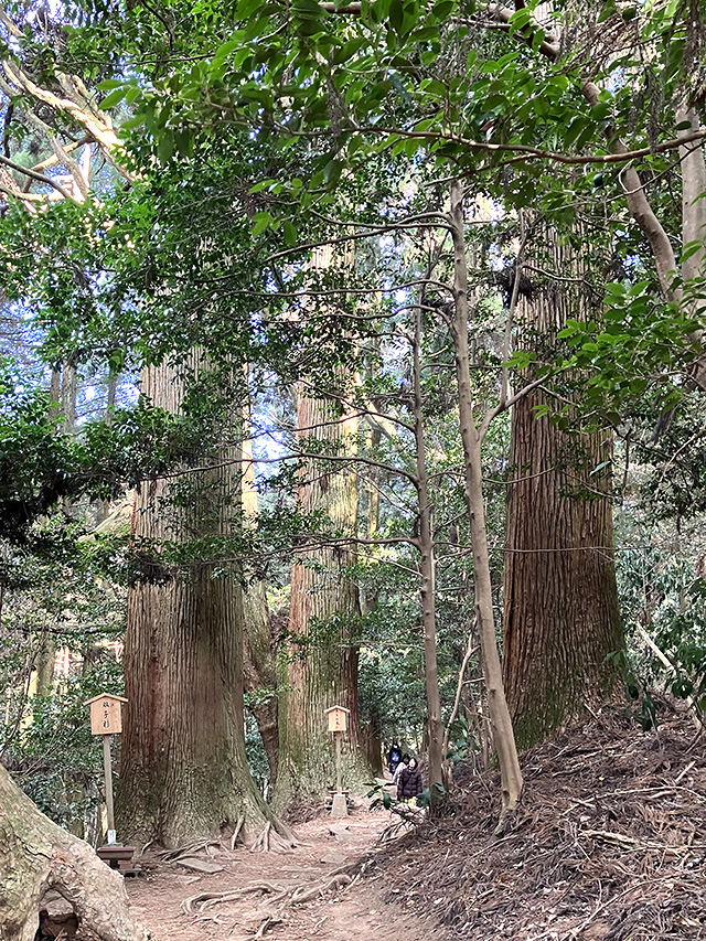龍神の池（東水神宮）へ