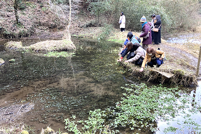 龍神の池（東水神宮）