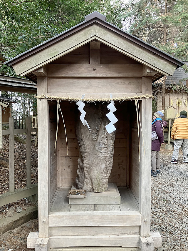 天神木の「首ッ玉」