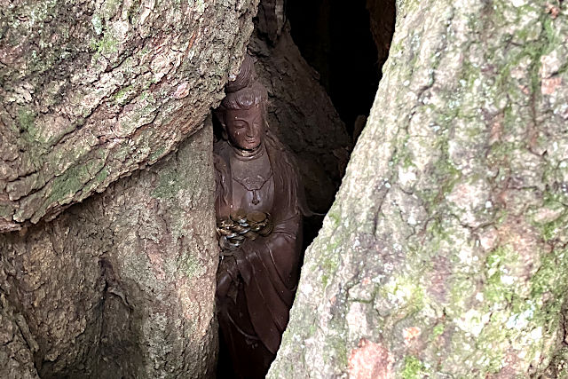 ご神木内の観音様