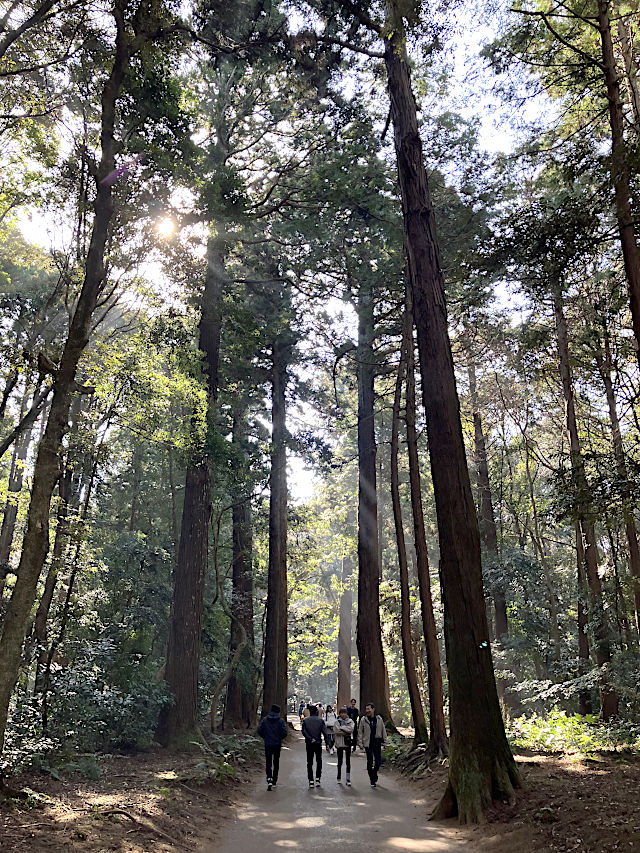 大鯰の碑から要石へ