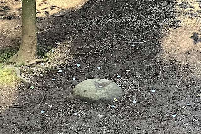 鹿島神宮の要石