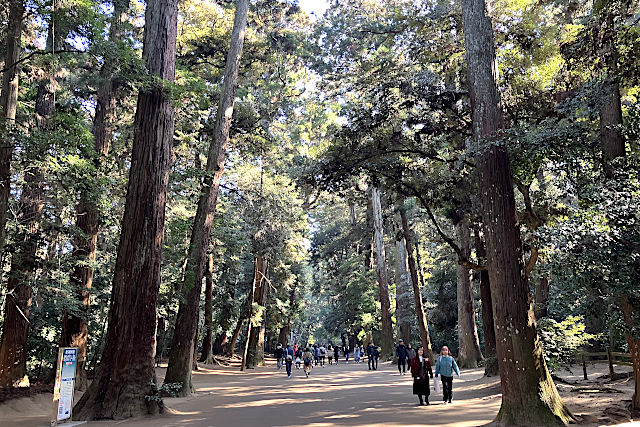 鹿島神宮の奥参道