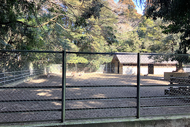 鹿島神宮の鹿園
