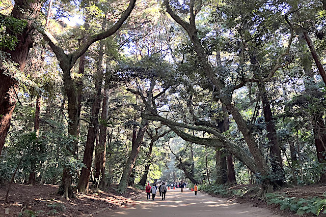 鹿島神宮の奥参道