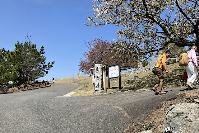 右へ曲がる表参道とまっすぐ進む裏参道の分かれ道