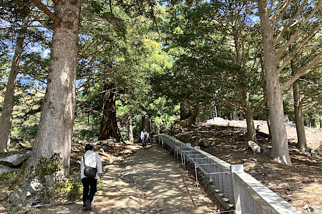 金華山黄金山神社の参道
