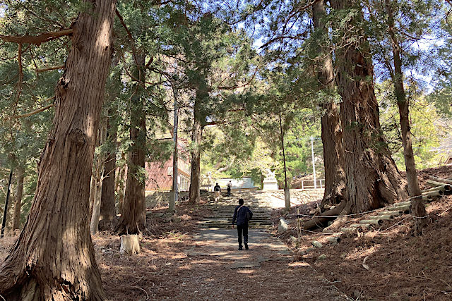 金華山黄金山神社の参道