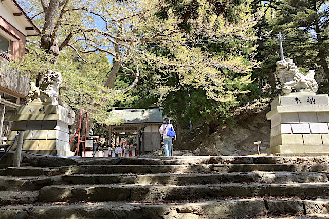金華山黄金山神社の参道
