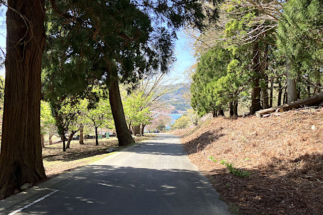 金華山黄金山神社の裏参道
