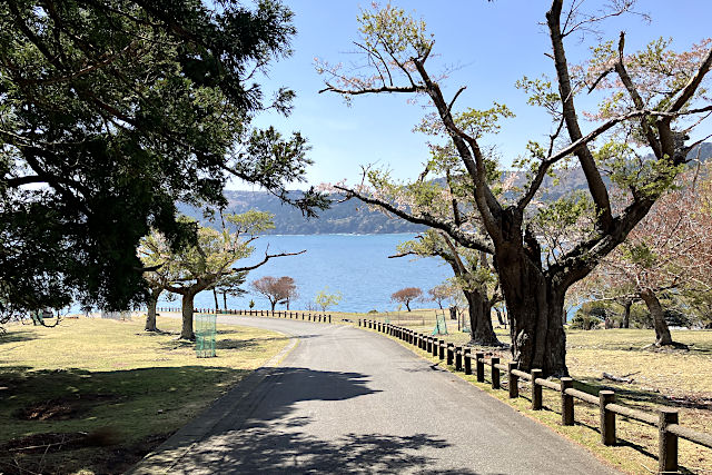 金華山黄金山神社の裏参道
