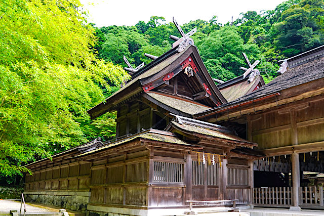 美保神社の本殿とご神竹