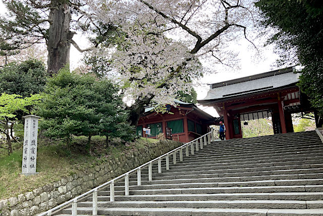 塩釜神社の東神門