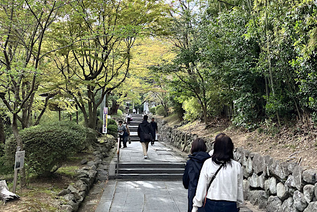 志波彦神社・塩釜神社へ