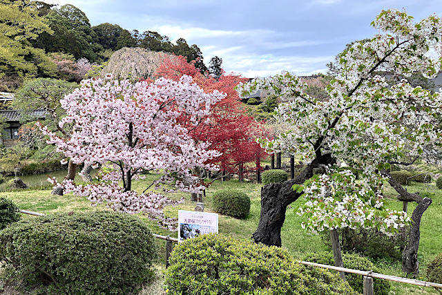 志波彦神社の境内